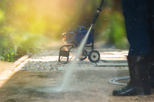 Animal Enclosure Cleaning in Waycross, GA